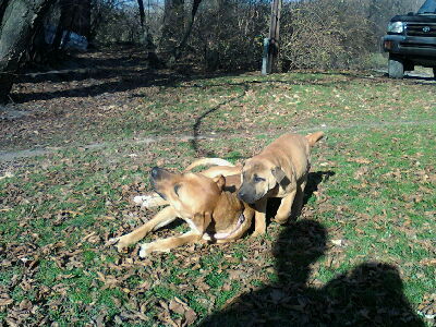 Elli and her puppy Piper