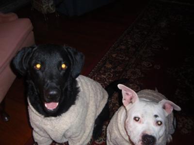 Jack & Jada in Christmas fleece