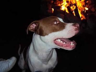 Sitting by the fire with his momma!